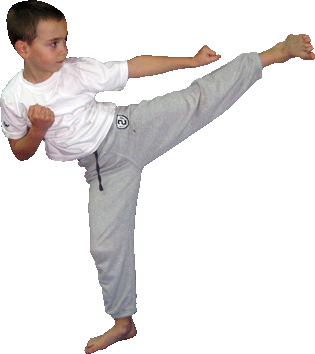 taekwondo kwon borna